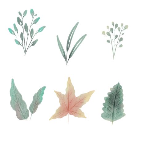 Watercolor Green Leaves Hd Transparent Green Watercolor Leaves 6 Set