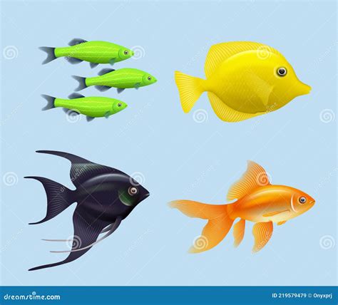 Exotic Fishes. Realistic Underwater Life Aquarium Drawing Colored Fishes Decent Vector ...