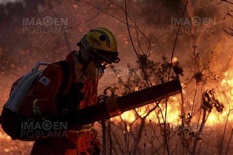 La Superficie Quemada Por Incendios En Brasil En Supera El Tama O