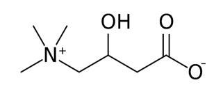 How to Analyze Carnitine and Acylcarnitine? - Creative Proteomics Blog