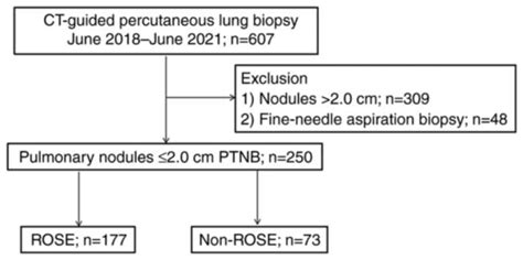 Application Of Rapid On‑site Evaluation In Computed Tomography‑guided