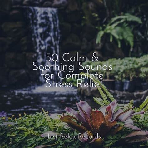 Play Calm Soothing Sounds For Complete Stress Relief By Nature