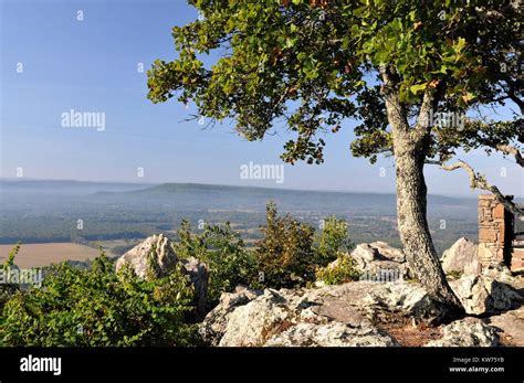 Petit Jean State Park At The Petit Jean Burial Site Stock Photo Alamy