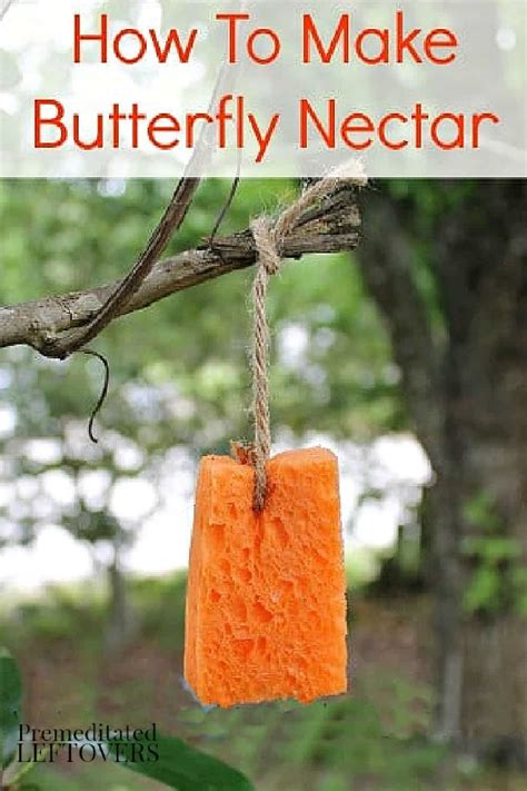 how to make butterfly nectar