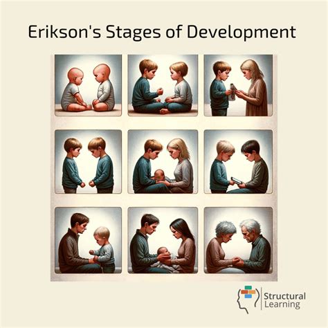 Erikson S Psychosocial Development Stages