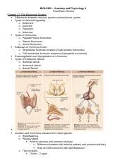 Exam Review Docx Biol Anatomy And Physiology Ii Final Exam