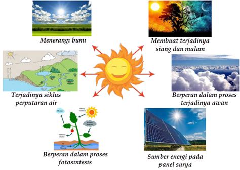 Manfaat Energi Matahari Bagi Manusia Hewan Tumbuhan Dan Alam Mobile Riset