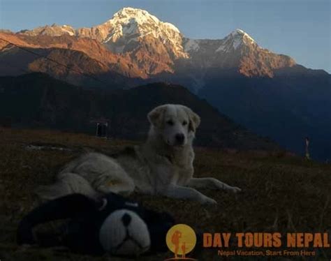 Ways To Travel Day Tours Nepal