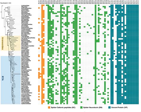 Figure 1 From Identification And Evolutionary Analysis Of The Widely