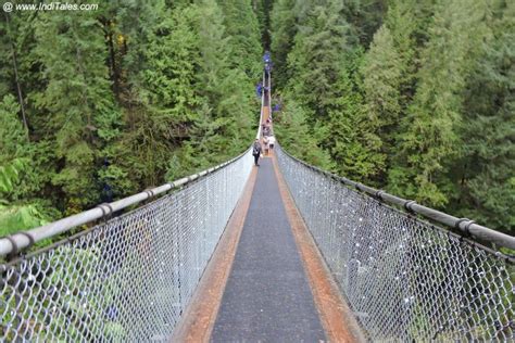 Stunning Capilano Suspension Bridge Park, Vancouver BC - Inditales