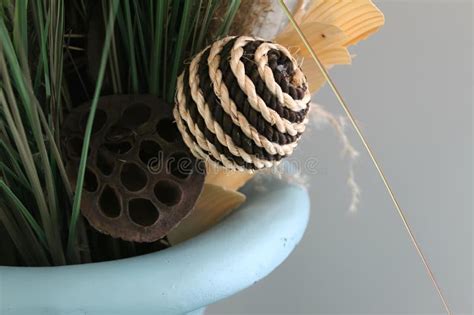 Vase Brimming With Lush Green Plants Stands In The Center Of A Room