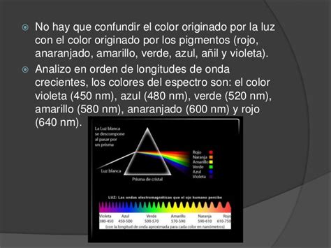 Luz Y Color