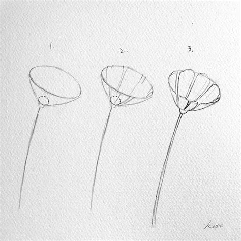 How To Draw A Flower Step By With Pencil Easy | Best Flower Site