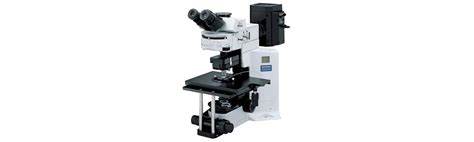 Olympus BX51 WI Upright Microscope