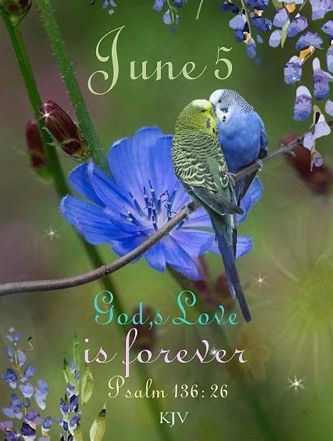 Pin By Beverlyn Antonio Lindee On June Calendar With Bible Verses