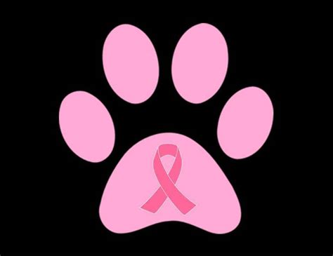 Real Panthers Wear Pink Cedar Grove Breast Cancer Awareness Walk Is Oct 22 Tapinto