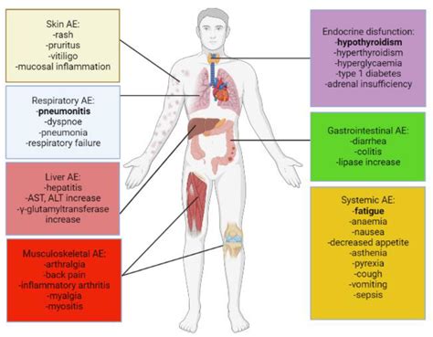 Ijms Free Full Text Implication Of The Gut Microbiome And Microbial Derived Metabolites In