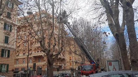 Vento Forte A Genova Un Grosso Ramo Si Abbatte Su Via Casaregis Il