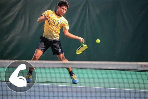 Muskeln Aufbauen Mit Tennisspielen Welche Muskelgruppen Arbeiten