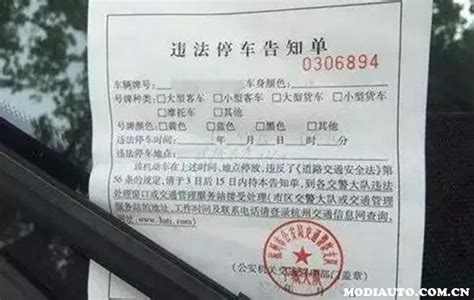 违法停车告知单5日后去处理？违停告知单5日后处理罚多少 无敌电动