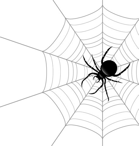 Spider Web Transparent Png Stickpng Images 7056 | The Best Porn Website