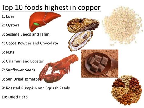 Role Of Copper In Our Body