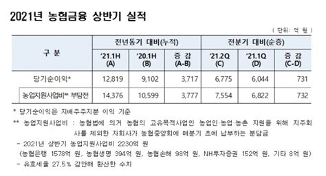 농협금융 상반기 당기순익 1조2819억 원전년동기대비 408 급증