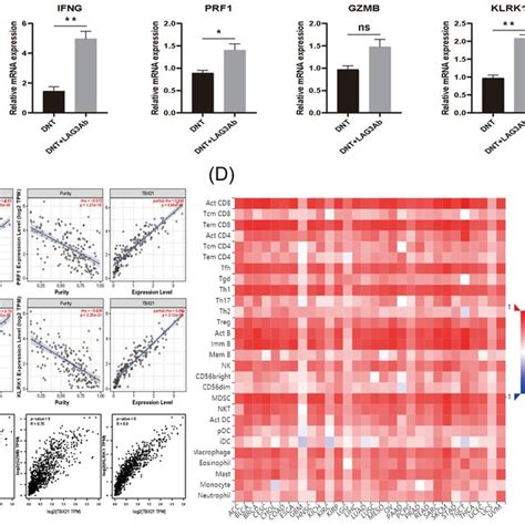 Lag Pd And Nkg D Expression In Breast Cancer From Tcga Data A B