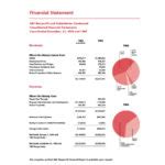 Non Profit Monthly Financial Report Template Professional