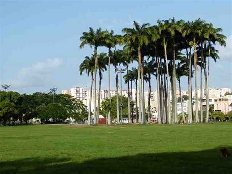 Fort de france martinique comment y aller Quand partir à Tahiti