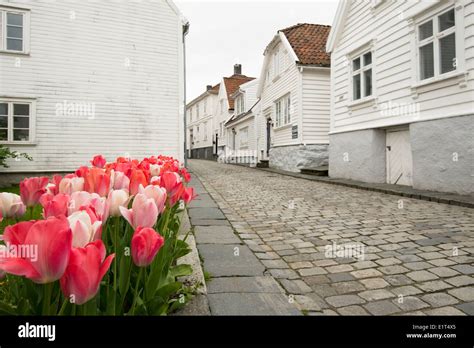 White Wooden Streets And Houses Of Old Stavanger Or Gamle Stavanger In