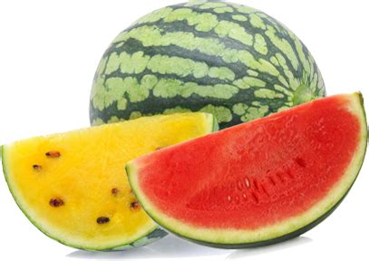 Watermelon Erfan Persian Tejarat Erfan