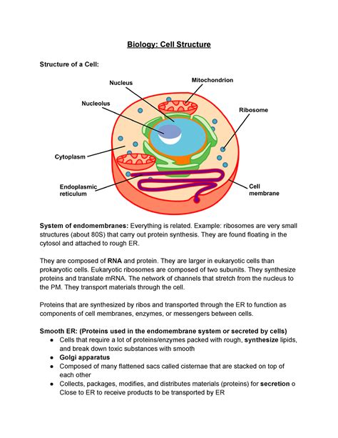 Biology Cell Structure - Biology: Cell Structure Structure of a Cell ...