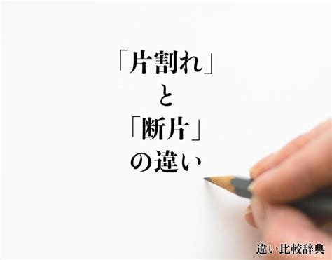 「片割れ」と「断片」の違いとは？意味や違いを分かりやすく解釈 違い比較辞典