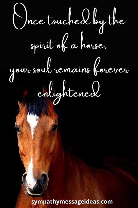 39 Moving Loss Of Horse Quotes Sympathy Card Messages Cute Horses