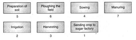 Ncert Solutions Class 8 Science Chapter 1