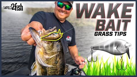 Wake Bait Bass Fishing Tips With John Cox YouTube