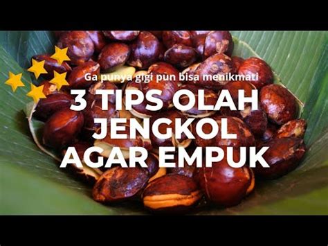 Tips Mengolah Jengkol Agar Empuk Dan Lezat Teknik Terbaik