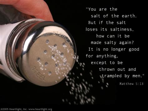 Matthew 513 Illustrated Salt Of The Earth — Heartlight® Gallery