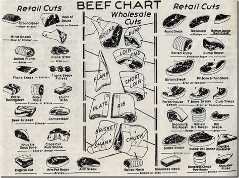 Veal Cuts Chart Meat