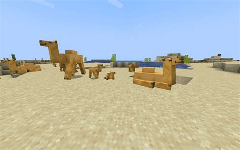 Camel in Minecraft 1.20 update: What we know so far