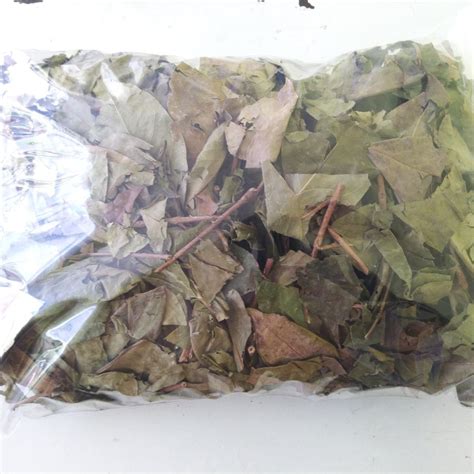 Jual DAUN SALAM KERING 1 KG | Shopee Indonesia