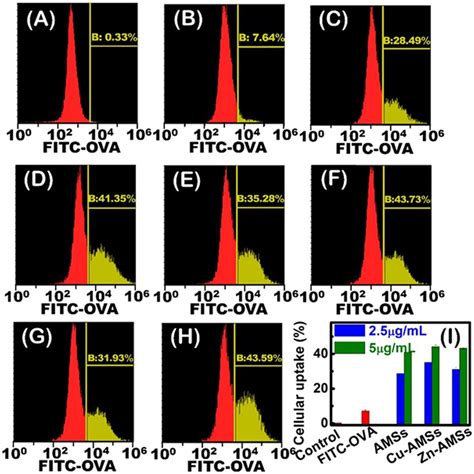 Cellular Uptake Of Fitc Ova By Thp Differentiated Macrophages A