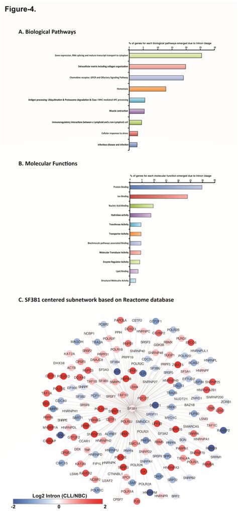 biological pathway molecular functions  network analysis based