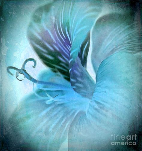 Never Forget Digital Art By Krissy Katsimbras Fine Art America