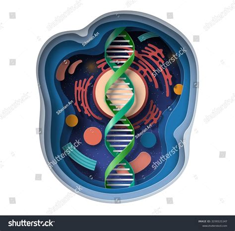 Dna Helix Molecule 3d Model Vector Stock Vector Royalty Free