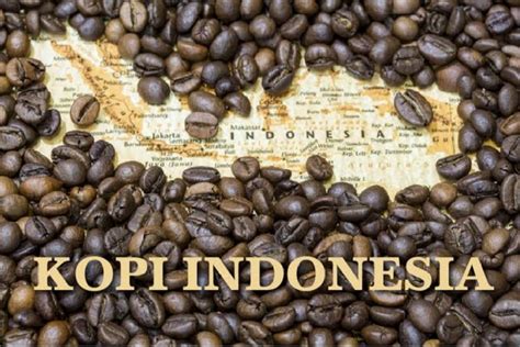 Untuk Kita Ketahui Jenis Jenis Kopi Indonesia Tribratanews Lampung