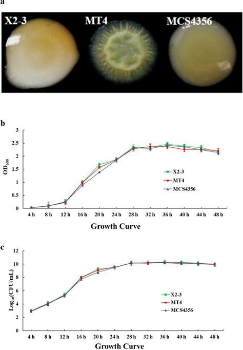 Colony Morphology And Growth Curves Of X Mt And Mcs A Colony