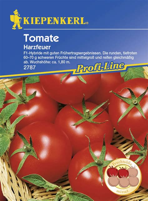 Kiepenkerl Tomate Harzfeuer Solanum Lycopersicum Inhalt Korn