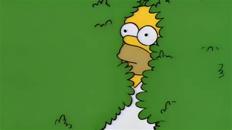 Simpsons Hiding In Bush Meme Template